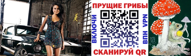 продажа наркотиков  Верхний Тагил  mega ONION  Псилоцибиновые грибы Magic Shrooms 